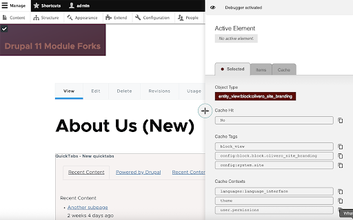 Drupal Visual Debugger :: Overlays Drupal Twig theme-debug info and an inspector panel on the current page. Requires Twig debugging enabled on the site.