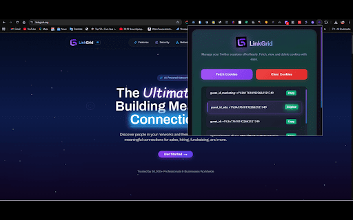 LinkGrid :: This extension will allow you to easily retrieve your session cookies each time you use LinkGrid.