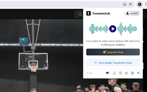 TranslateSub :: Real-time audio & video transcription and translation with subtitles