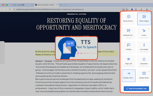 Web Accessibility Pro :: Best tool to help users access the internet more easily