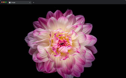 AMOLED Wallpapers HD - Dark Black Backgrounds New Tab :: Premium AMOLED wallpapers with pure black backgrounds.