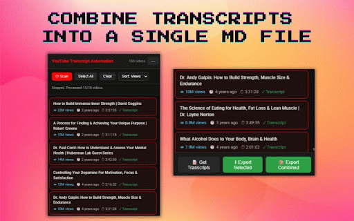 YouTube Transcript Automation :: Scan, sort, export YouTube video metadata and transcripts.