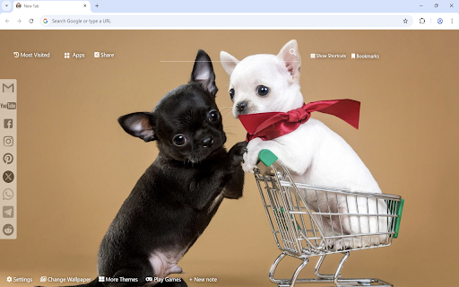 Chihuahua Wallpaper :: Chihuahua Wallpaper turn new tab to custom HD Chihuahua background. Chihuahua Wallpaper theme created for dog fans.