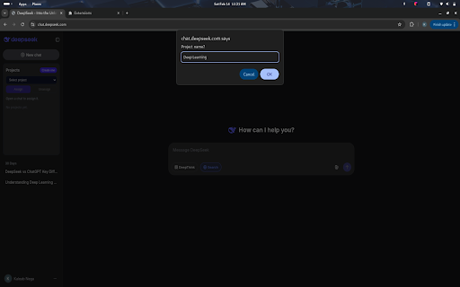 DeepSeek Chats Organizer :: Group DeepSeek chats into local projects.