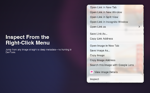 Image Info Viewer for Chrome :: View detailed information about images on the web.