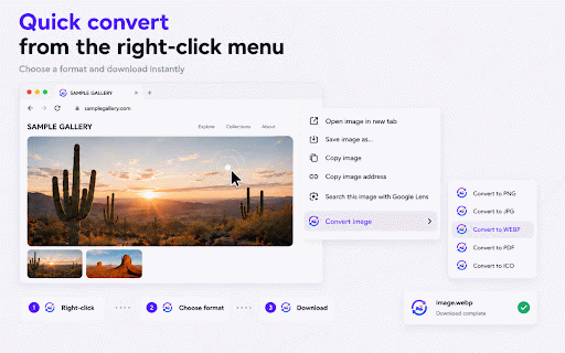 Picture Converter :: Save one selected website image as JPG or PNG, convert local WebP and HEIC files, and combine up to 30 images into one PDF