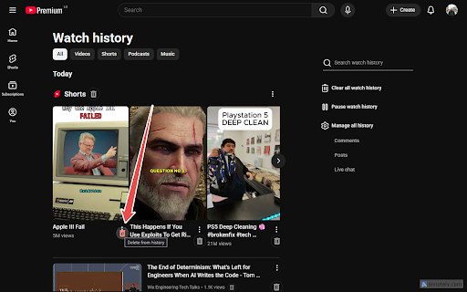 YouTube History Cleanup :: Adds always-visible delete buttons to the YouTube watch history page.