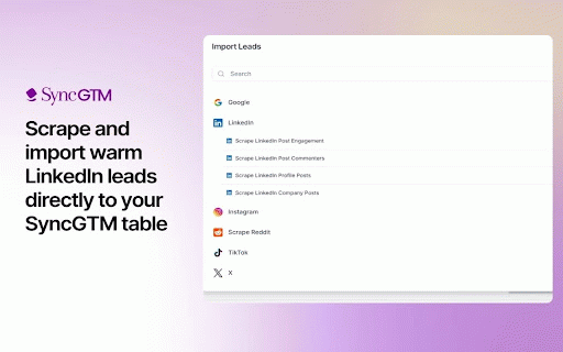 SyncGTM: B2B email and phone finder + LinkedIn automation :: Helps users streamline professional networking actions on supported pages.