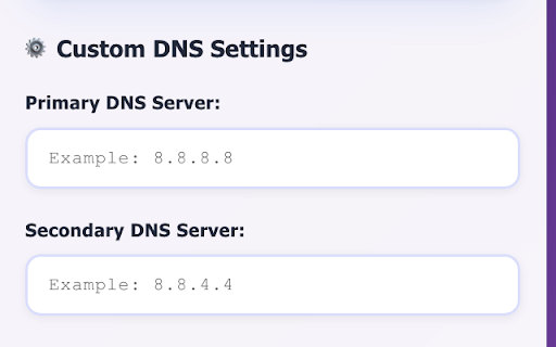 DNS Configuration Manager :: Chrome DNS management extension - Easy switching between different DNS servers with multilingual support