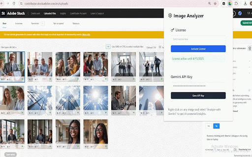 Analyzer Keywords for AdobeStock :: Analyzer Keywords for AdobeStock, Analyze images using Google's Gemini AI