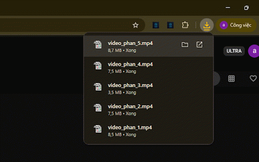 Tải Video Veo3 Hàng Loạt :: Tải xuống tất cả video đã tạo trong một dự án Flow với tên file được đánh số thứ tự.