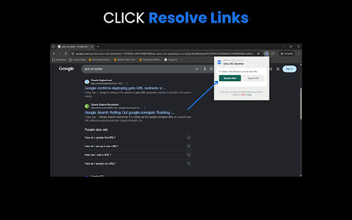 Goto URL Resolver :: Reveals the real destination behind Google's /goto redirect links on search results, and exports them to CSV.