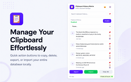 Clipboard History Matrix :: Browser clipboard manager with clipboard history, search, pinning, export and import.