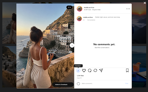 InstaDown - Mass Downloader For Instagram :: Save Instagram photos and videos you own or have permission to download—one at a time or in easy batches.