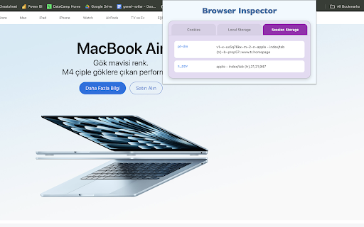 Browser Inspector :: View cookies, session storage, and local storage for the current website