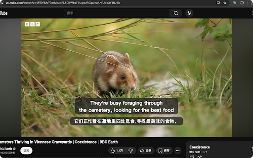 DeepAcquire - YouTube Bilingual Subtitles AI Translator :: Learn languages by watching videos: AI‑translated YouTube bilingual subtitles. Use built‑in model, or your own AI model for free.
