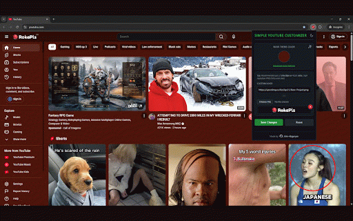 Simple Youtube Customizer :: Customize YouTube colors and logo