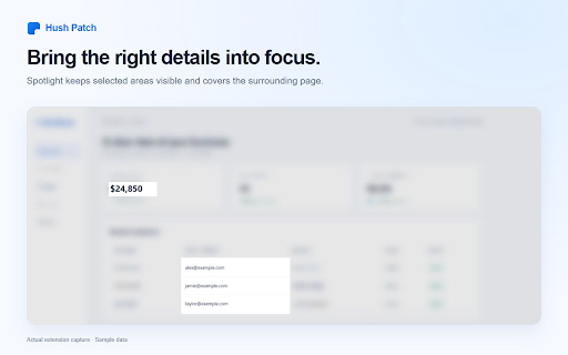 Hush Patch :: Point at anything on a page and cover it, so private details stay private while you share your screen.