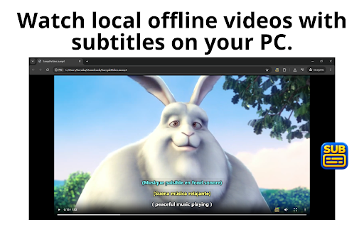 Subreveal – Add subtitles to any video, movie, or series :: Subtitles on any web video or local file: 3 tracks, built-in search, custom fonts, styling and export.