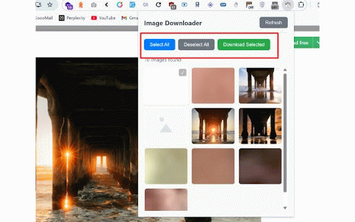 Image Downloader & Preview :: Preview and download images from any webpage