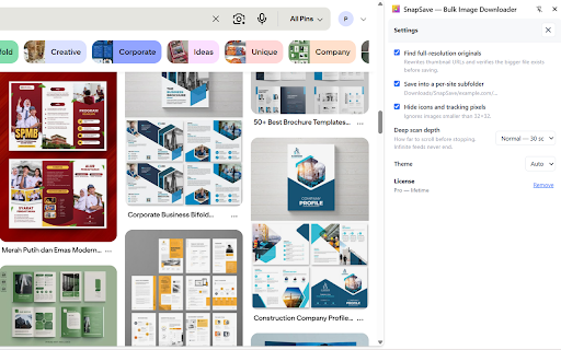 SnapSave — Bulk Image Downloader :: Find and bulk-download every image on any page — lazy-loaded, CSS, blob, canvas and CDN. Save as ZIP in full resolution.