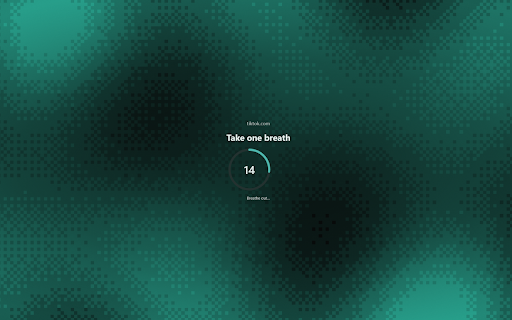 Blocked — focus on the web :: Blocks distracting websites with a calm breath, synced with your Blocked account.
