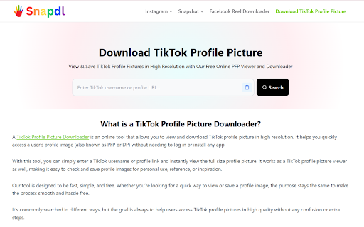 Snapdl :: Snapdl is a fast and secure TikTok, Instagram, Snapchat and facebook downloader and viewer