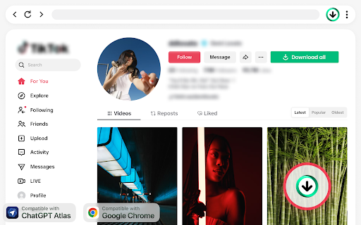TikTok Video Downloader – Save Without Watermark :: Download TikTok videos in one click, no watermark, no extra apps, just fast and simple TikTok downloads. Get the Saver now