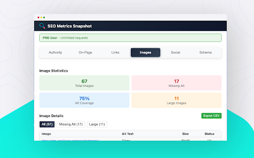 SEO Metrics Snapshot :: Complete SEO analysis: Domain Authority, Page Authority, On-Page, Links, Images, Social Previews, and Schema Markup.