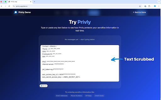 Privly :: Mask sensitive & personal information in any AI prompt before sending.