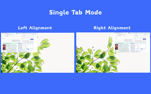 how to split screen :: Arrange browser tabs into multi-window layouts. Supports custom ratios.