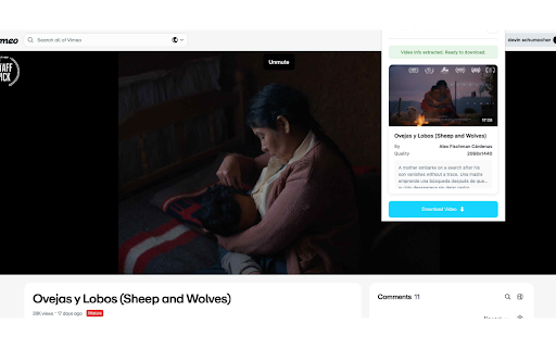 Vimeo Video Downloader :: Download Vimeo videos directly to your computer