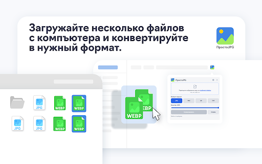 ПростоJPG :: Конвертирует изображения и собирает фото/видео из галерей товаров Ozon и Wildberries в архив.