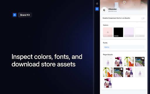 Copyfy :: Copyfy detects shopify stores and provide all data about the store.
