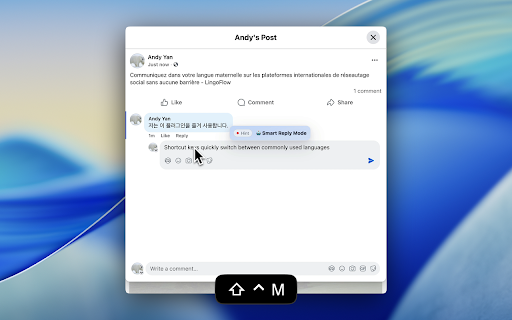 LingoFlow :: Seamless multilingual writing with instant translation