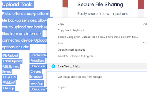 FileLu Cloud Storage File Uploader :: Upload files, URLs upload, screenshots, save selected text, save image, create quick notes directly to FileLu from your browser.