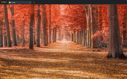 Autumn Wallpapers New Tab - Fall Season Backgrounds :: Autumn wallpapers for new tab. Fall foliage, cozy season & nature backgrounds