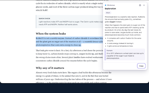 Mindomax :: Select text on any page to make flashcards, get a quick explanation or translate it, then save it to your Mindomax decks.
