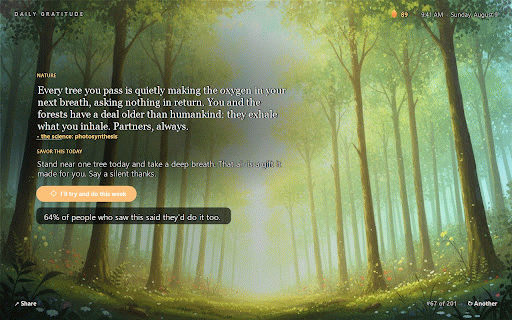 Daily Gratitude :: Your daily hit of gratitude — one beautiful reason to love the life you've got, right on your new tab.