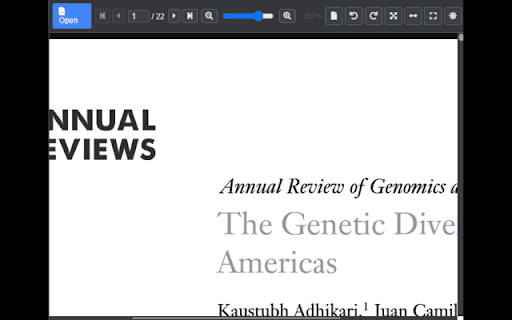 Popup PDF Viewer :: View PDF files in a compact popup window with comprehensive viewing features