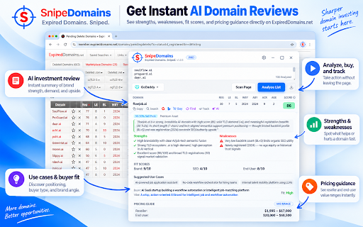 SnipeDomains - Expired Domains Analyzer :: Analyze expired domains with AI scoring, valuation estimates, and spam-history checks. Research domain opportunities faster.