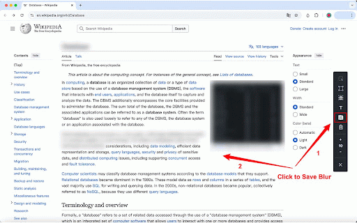 BlurAny - Privacy Protector :: Instantly blur any web element - text, images, inputs, or areas. Protect privacy with one click during screen sharing or recordings.