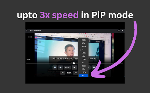 PiP mode with Subtitles & Controls :: Picture-in-Picture mode with subtitle overlay support for major streaming platforms. Includes video controls and resizable subtitles