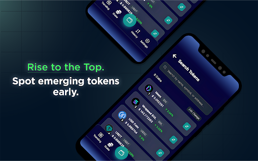 IDX Wallet :: IDX Solana Wallet for Business | Secure Web3 Payments for Teams and Enterprises with zero platform fees.