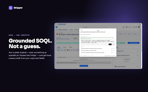 Skipper for Salesforce :: Grounding and guardrails for AI in Salesforce.