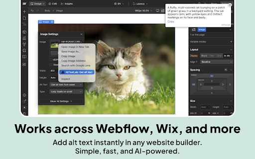 AI Alt Text Generator | AltTextLab.com :: AltTextLab - Automatically generate alt text for images