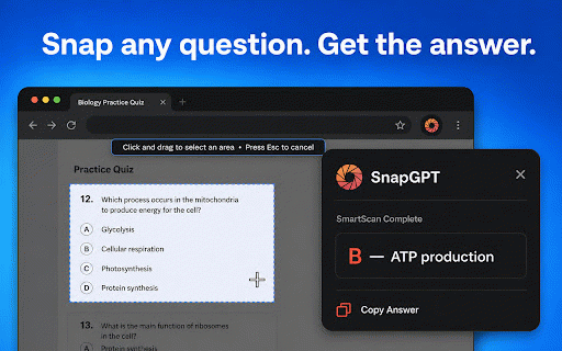 SnapGPT: AI Homework Help & Quiz Solver for Canvas, Blackboard & More :: SnapGPT - AI-powered screenshot analysis