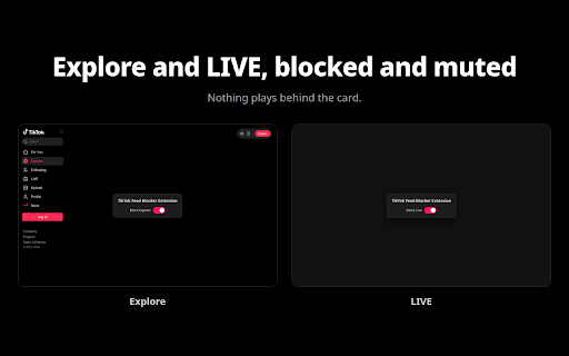 TikTok Feed Blocker :: Block TikTok's most distracting features.