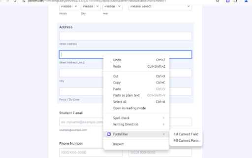 FormFiller :: Intelligent form filling with smart field detection. Save time with context-aware data generation for any web form.