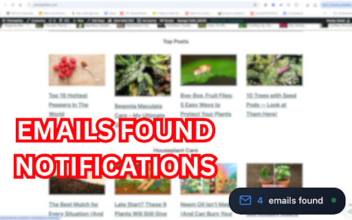Email Extractor — Lead Finder & Contact Scraper on Any Page :: Extract emails, find leads & scrape contacts from any website. LinkedIn, company sites, directories — boost your sales everywhere!